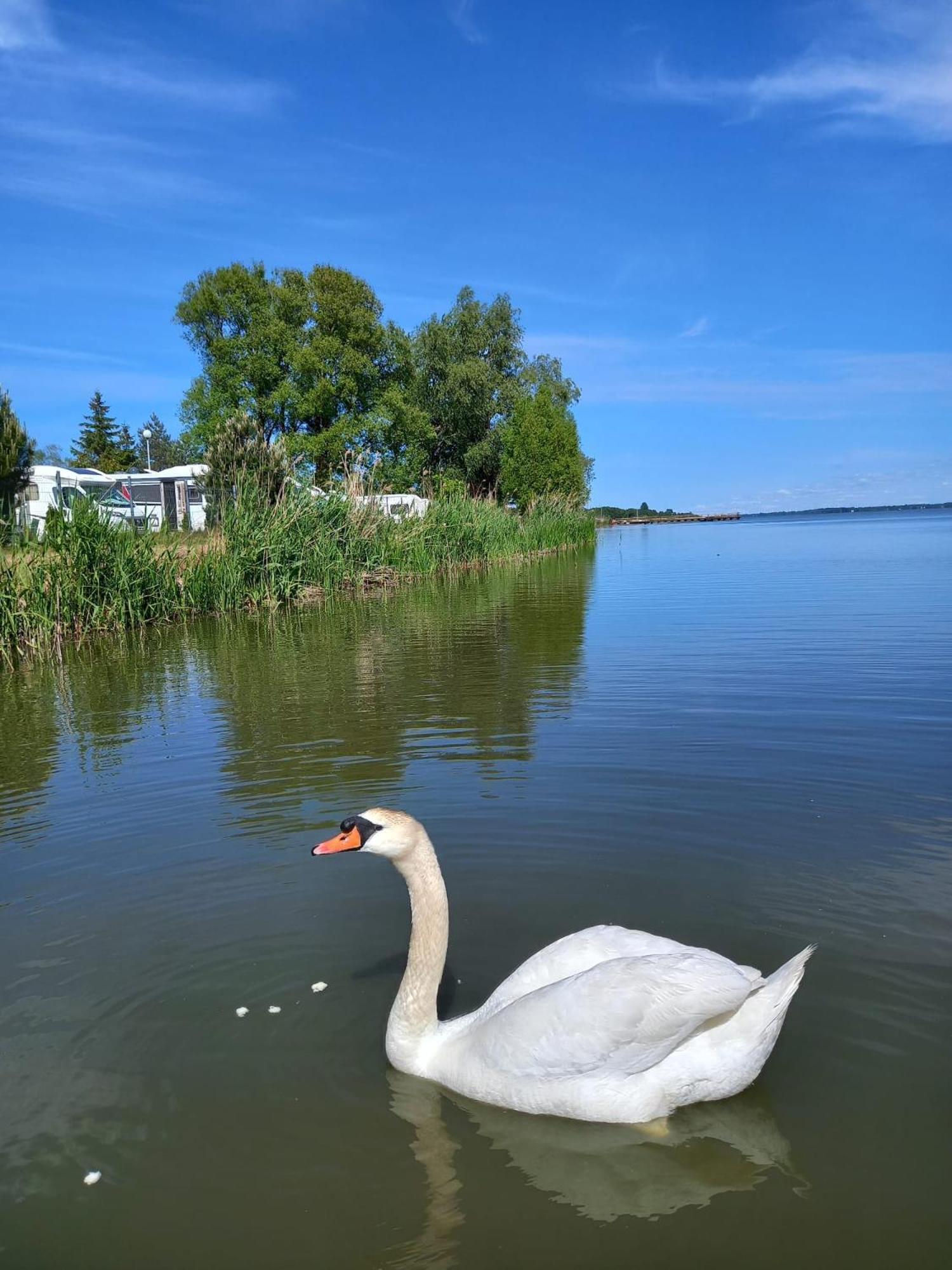 ARKA 1 domki na wodzie Mielno  Zewnętrze zdjęcie